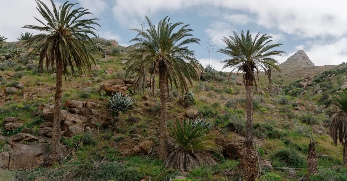 Impacto del cambio climático en la biodiversidad