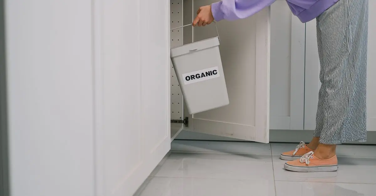 Guía práctica: Cómo reciclar correctamente en casa